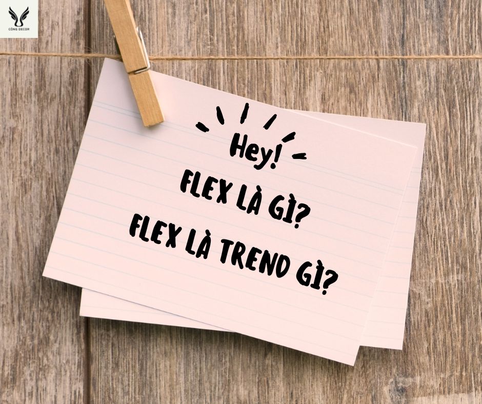 Flex là gì? Flex là trend gì? Flex là gì trên Facebook?